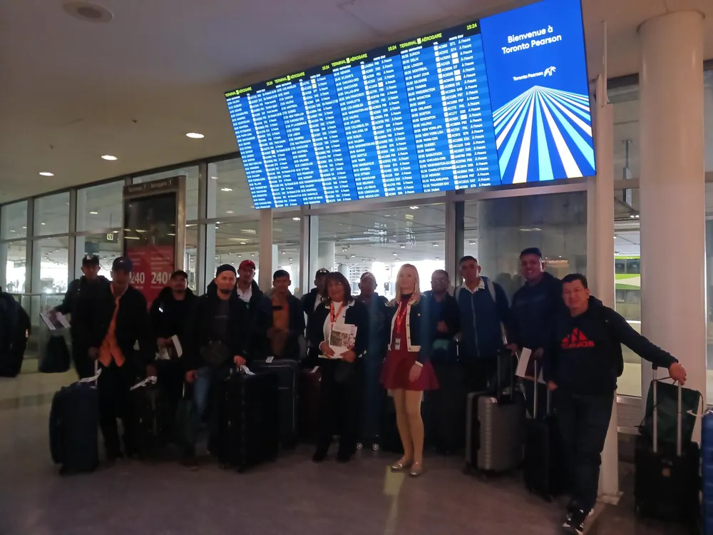 Workers arriving at Toronto Pearson