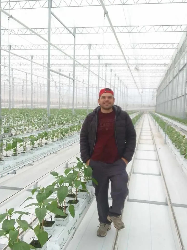 Worker among seedling plants in Ontario greenhouse