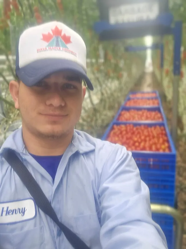 Henry, Maya Maple Connect worker, Leamington ON
