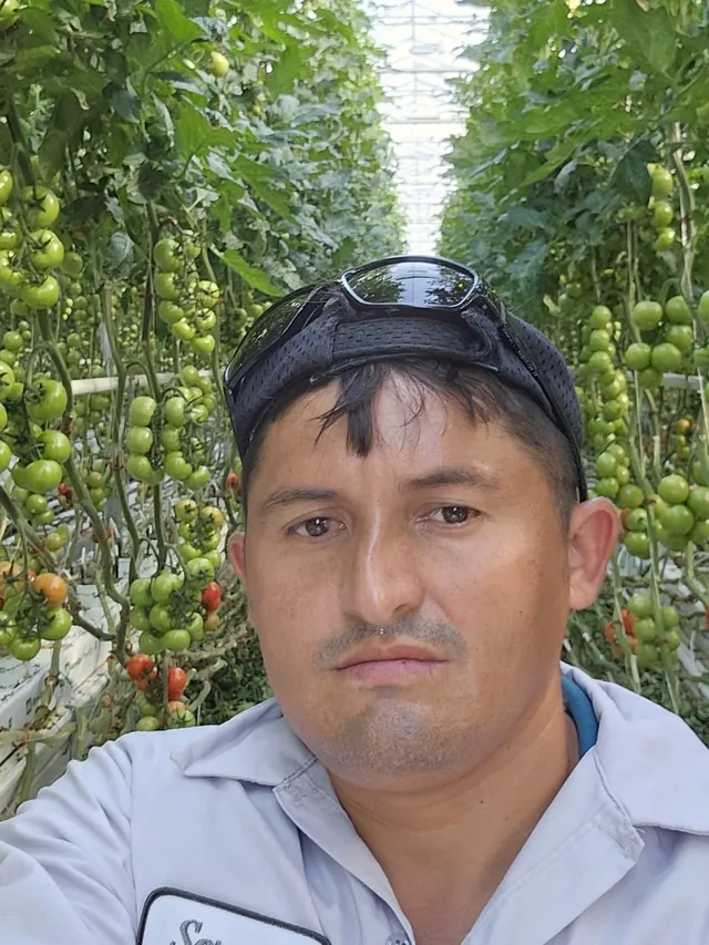 Sergio, Maya Maple Connect worker, El Nispero